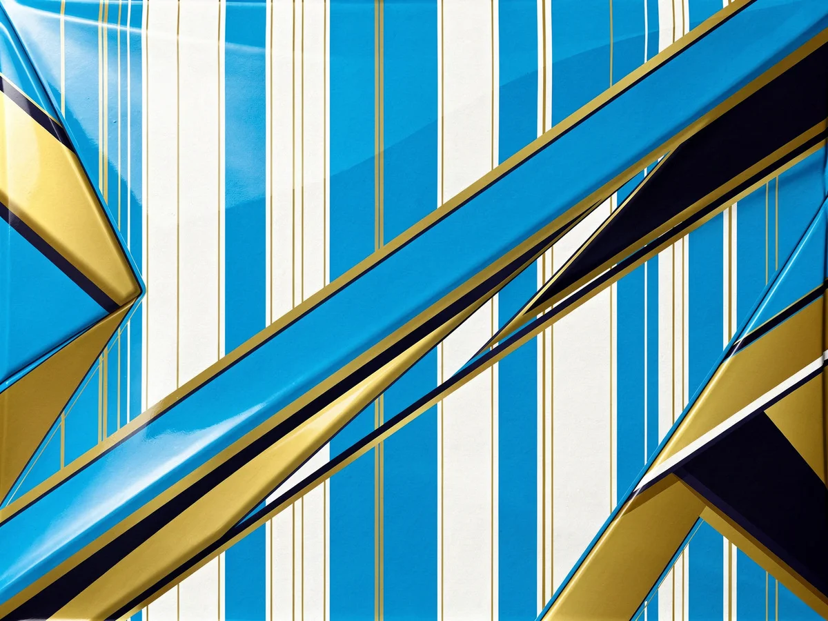 Argentina hood cover print detail — Hood'd World Cup 2026