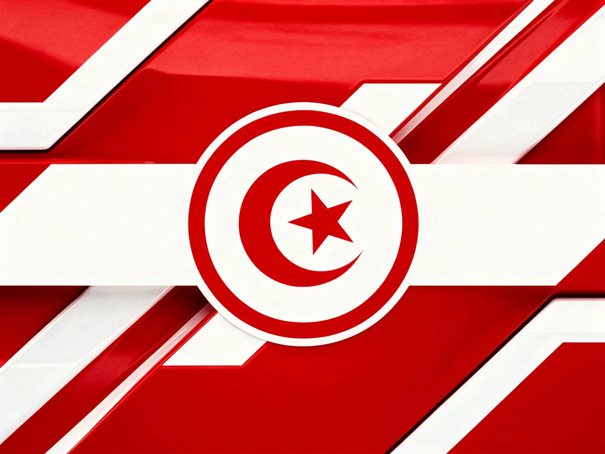 Tunisia hood cover print detail — Hood'd World Cup 2026